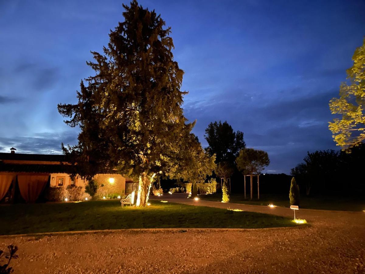 Chateau Du Go Albi Exteriör bild