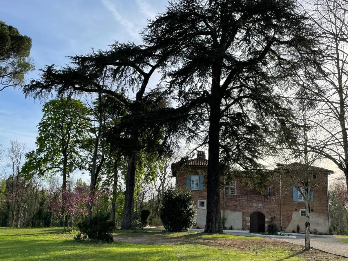 Chateau Du Go Albi Exteriör bild
