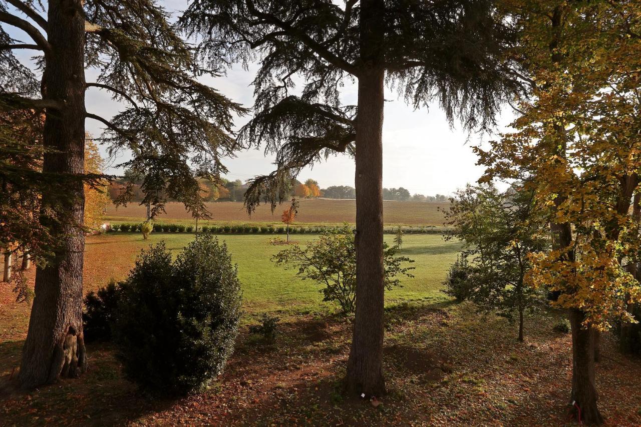 Chateau Du Go Albi Exteriör bild