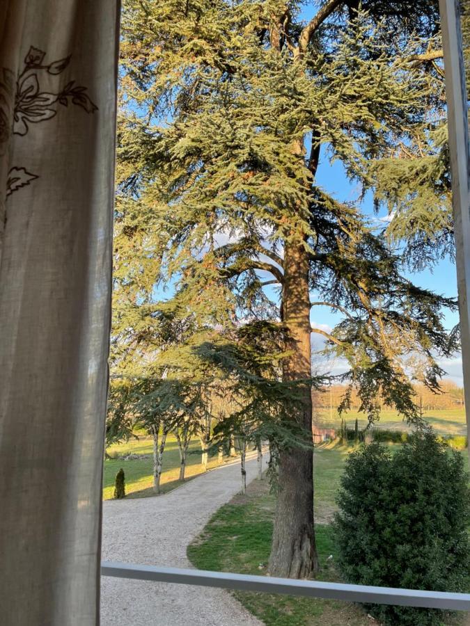 Chateau Du Go Albi Exteriör bild